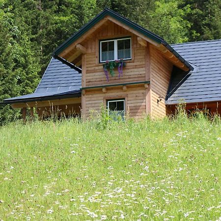 Вилла Forstauer'S Teichalm Gams bei Hieflau Экстерьер фото
